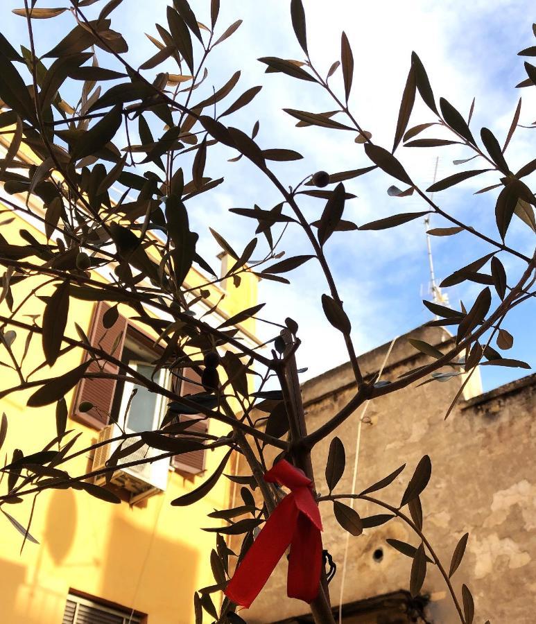 Maisonette Al Colosseo 罗马 外观 照片